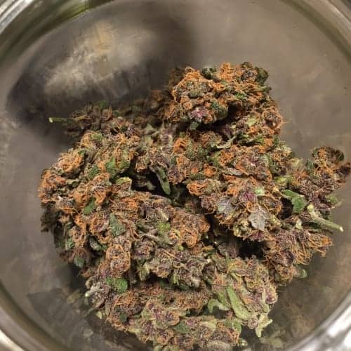 Fastberry Auto Автофеминизированные семена конопли — фото 2