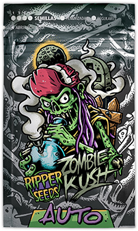 Zombie Kush Auto Автоцветущие семена конопли — фото 2