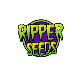 Sideral x Zombie Kush фотопериодный гибрид семена конопли